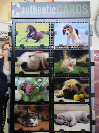 Интерстройэкспо 2012 ленэкспо 3d фотографии животных authentic cards открытка с лошадью, собаками и котятами