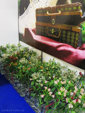 Интерстройэкспо 2012 ленэкспо стенд с живыми цветами фото чемодан на заднем плане
